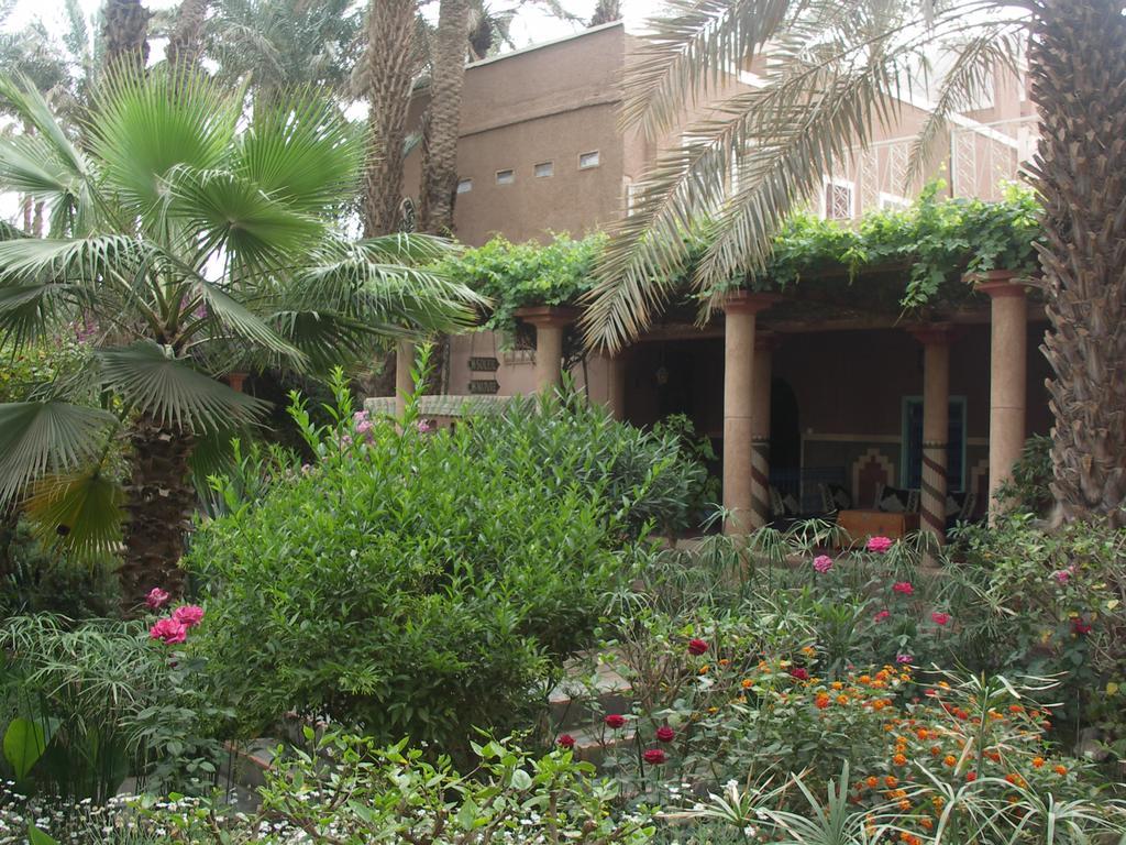 زڭورة Fibule Du Draa Kasbah D'Hotes المظهر الخارجي الصورة