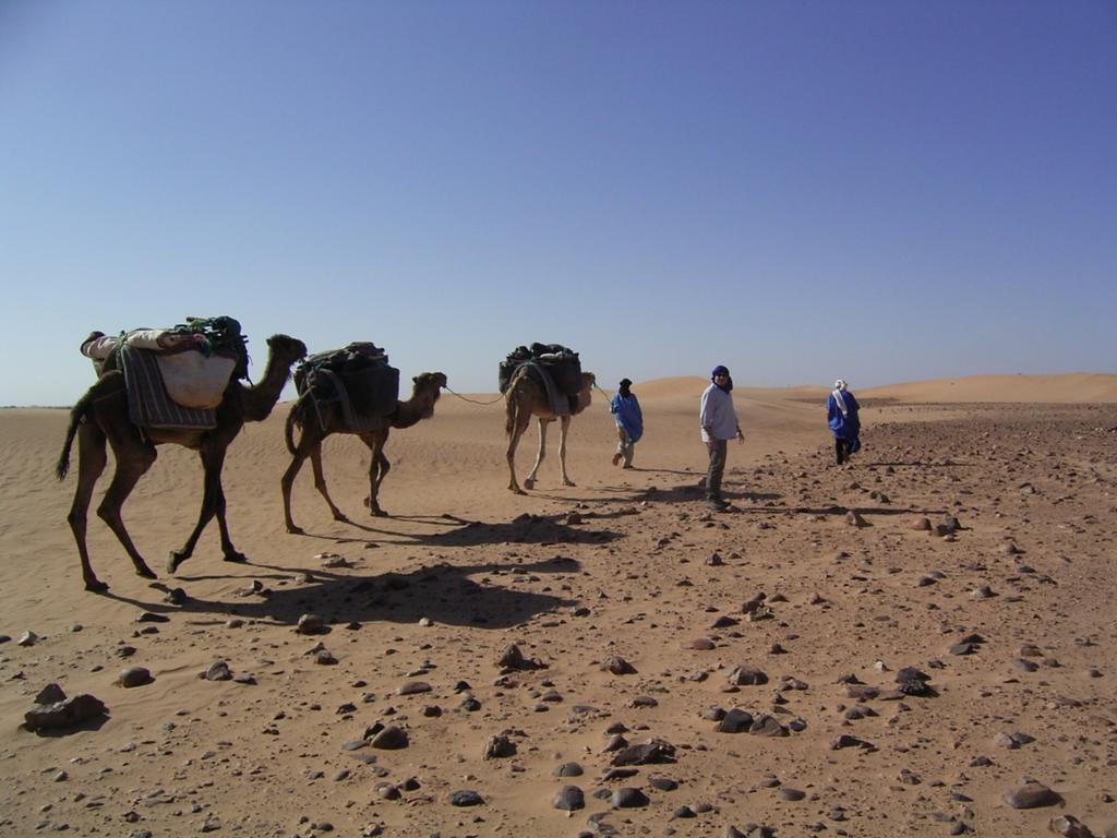 زڭورة Fibule Du Draa Kasbah D'Hotes المظهر الخارجي الصورة