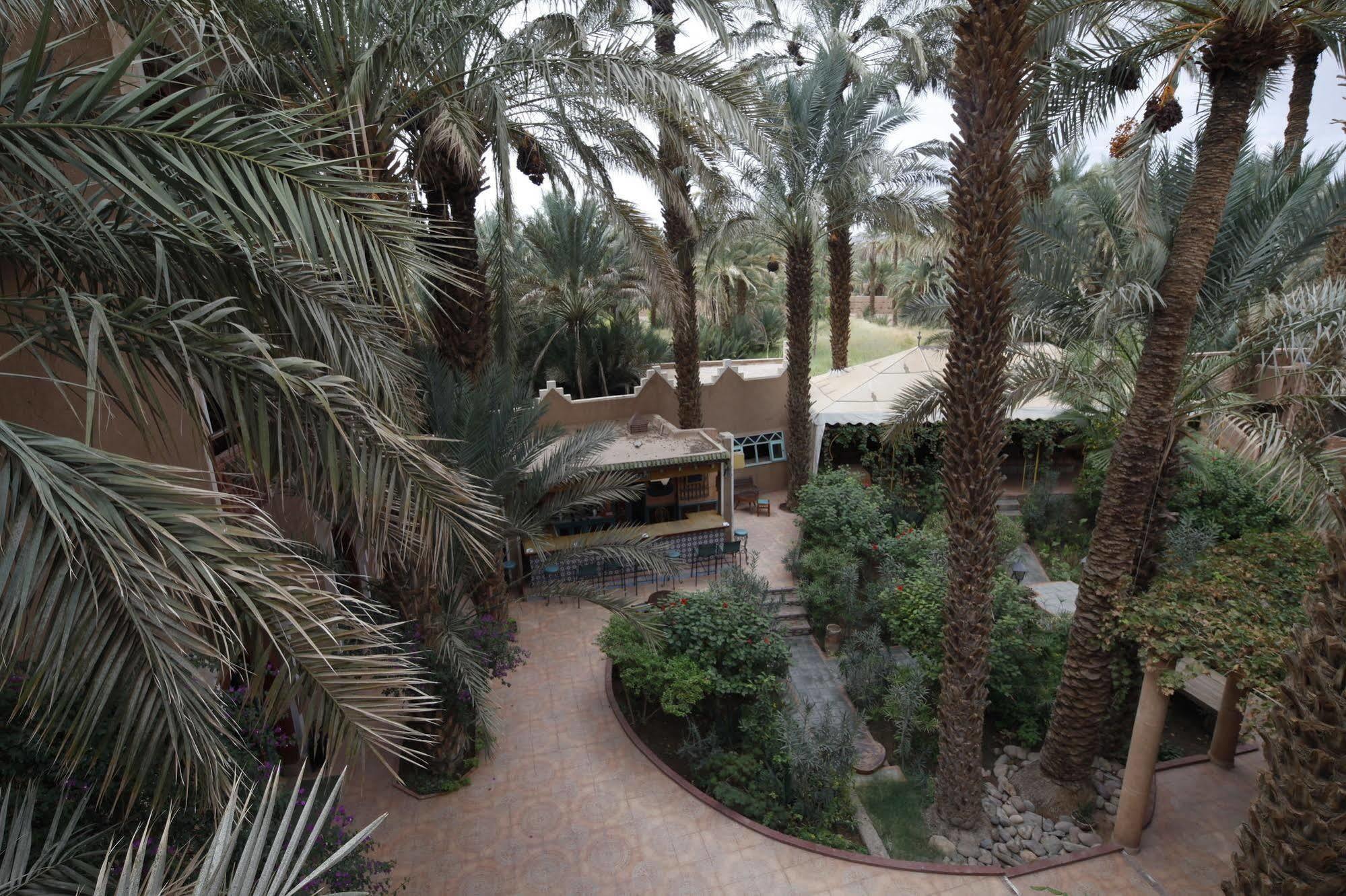 زڭورة Fibule Du Draa Kasbah D'Hotes المظهر الخارجي الصورة