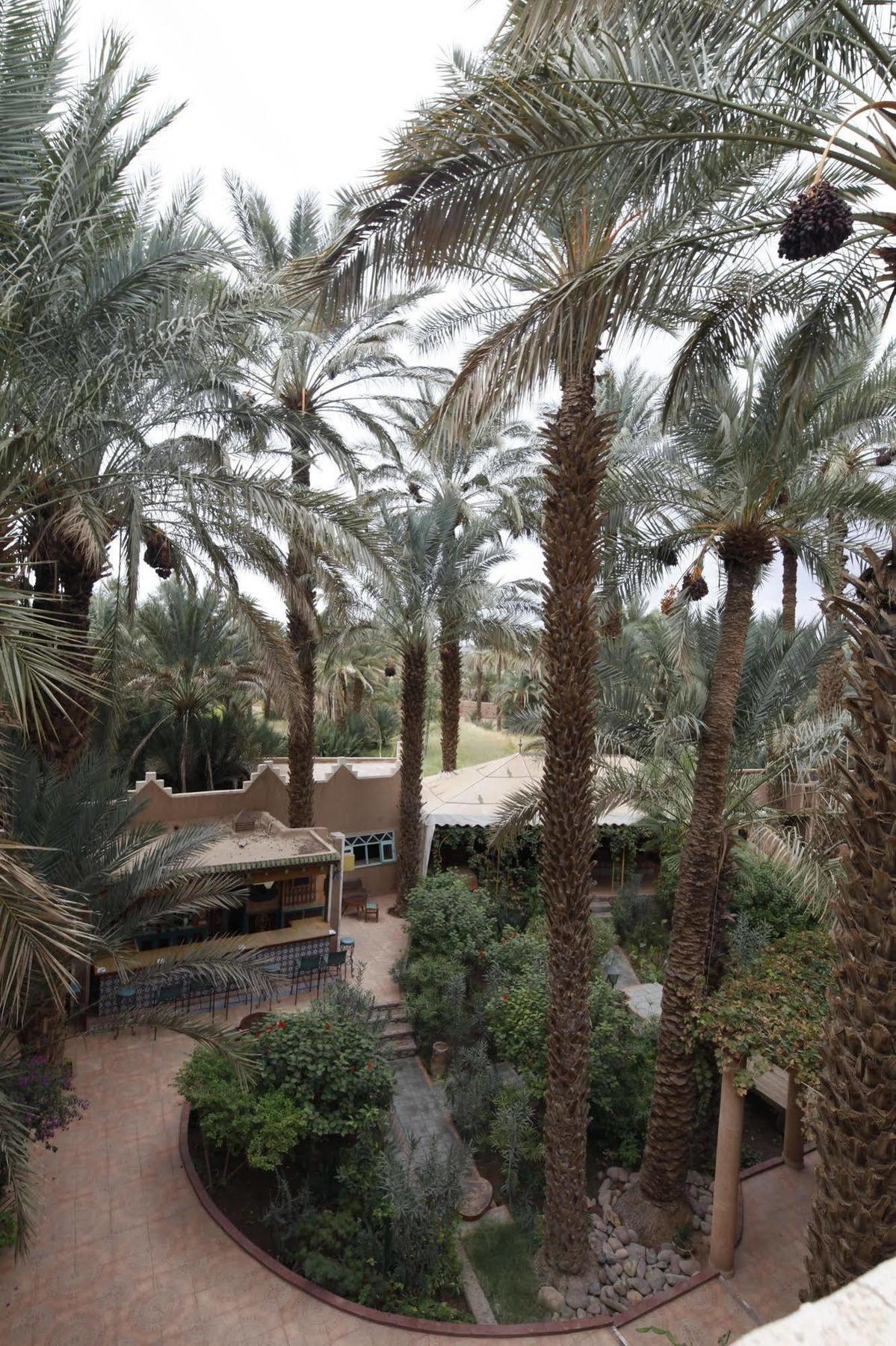 زڭورة Fibule Du Draa Kasbah D'Hotes المظهر الخارجي الصورة